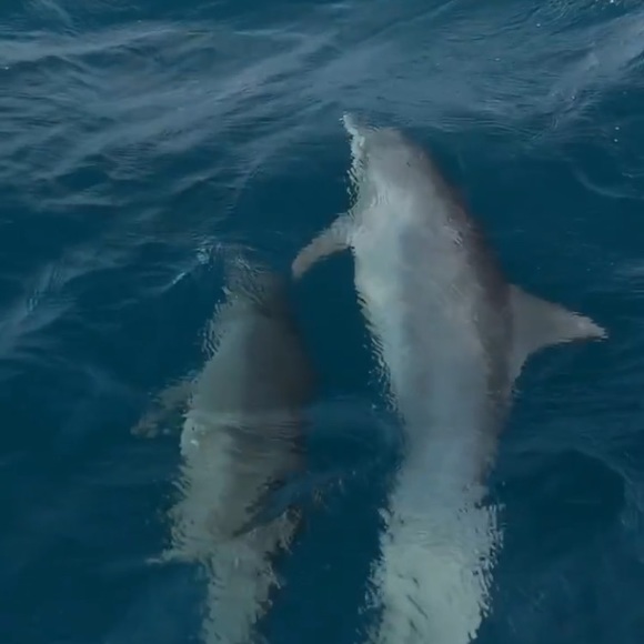 Meet the seller. - Picture 4 of 7